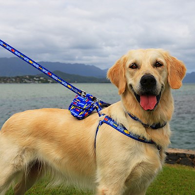 Pet Harness, Surf's Up - M